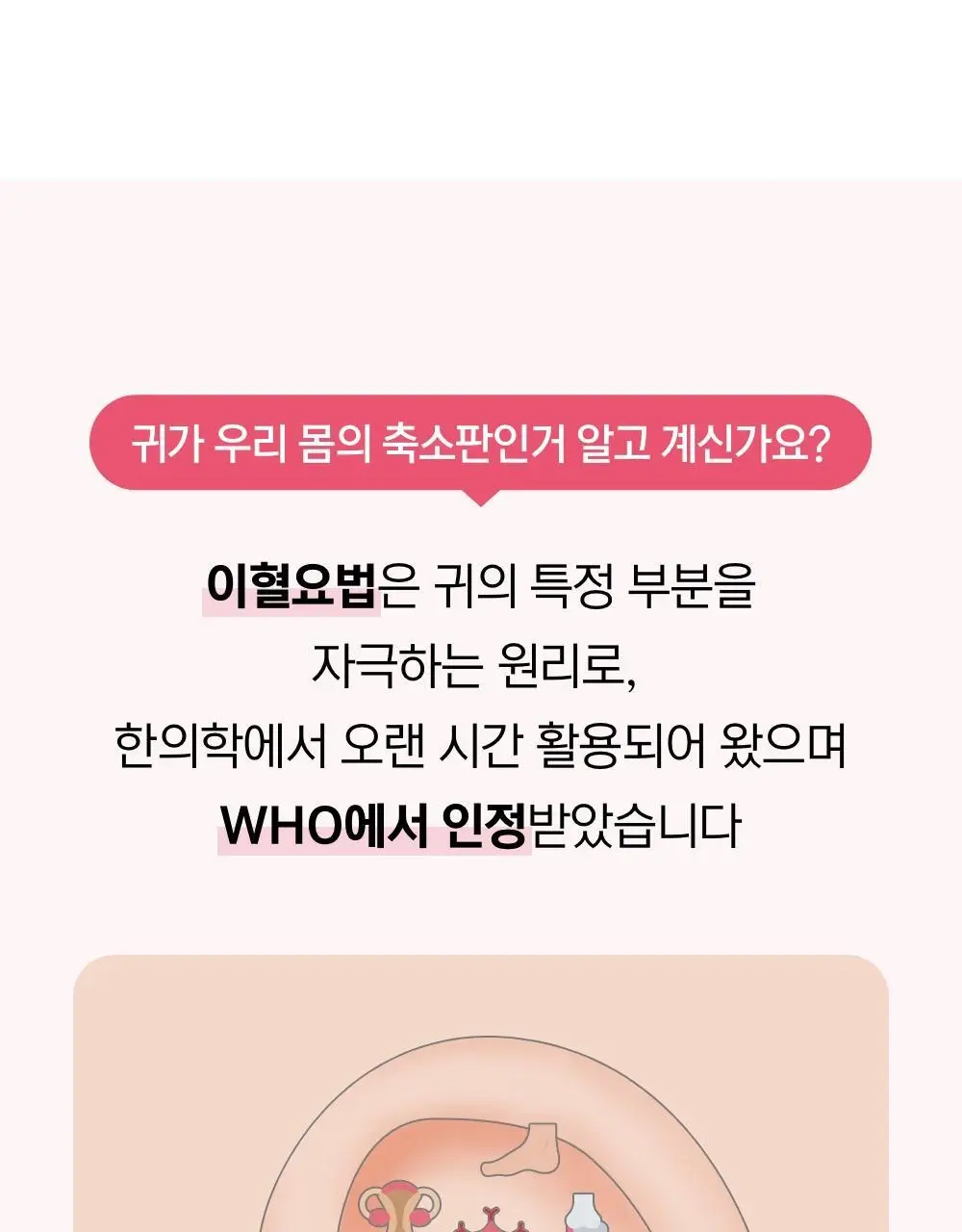 [추가2P증정] 닥터원더 피어싱 붓기 지압 귀침 (2종 중 택1) 상세페이지 16